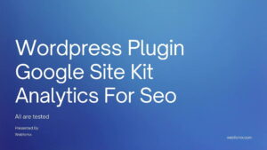 Google site kit plugin